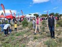 Gran Reforestación de Otoño: 1.500 Árboles para Revivir el Monte Orgegia en Alicante