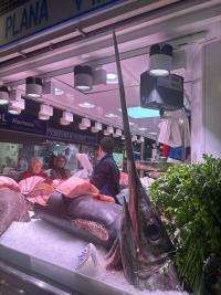 Alicante celebra el festivo de la Constitución con la apertura de sus cuatro mercados y mercadillos este sábado