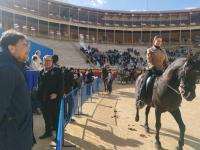 La Bendición de Animales atrae a un gran número de participantes en el Porrate de Alicante