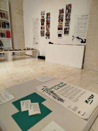 El MACA impulsa el arte comunitario con el innovador proyecto Historias de la Balsa
