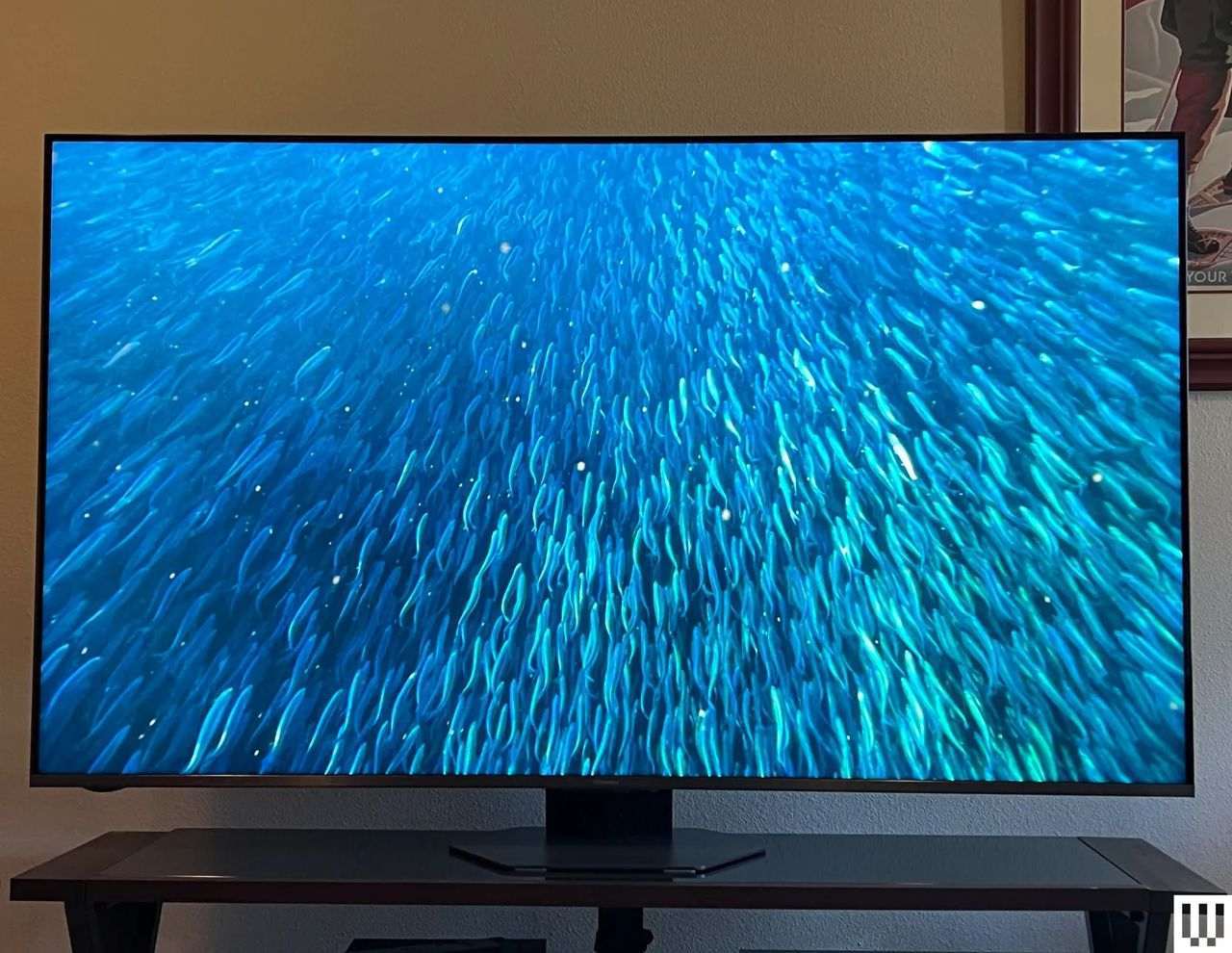 Guía para seleccionar el tamaño y la tecnología de televisión que realmente necesitas