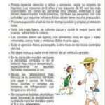 Alicante implementa medidas de emergencia ante la ola de calor: CAUS abierto y atención en la calle