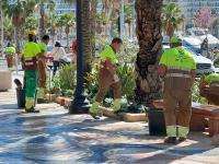 Alicante invierte 44,7 millones en el nuevo contrato de Parques y Jardines para los próximos cuatro años