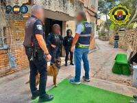 Desarticulan una plantación de marihuana en un apartamento de Zona Norte y arrestan a un sospechoso