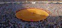 Morante e Israel Guirao reconocidos en la emocionante feria taurina de Hogueras 2026