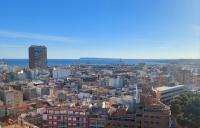 Alicante lanza innovador proyecto de biodiversidad entre el puerto y la ciudad