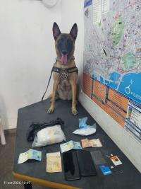 Detención de un hombre con 678 gramos de cocaína gracias a la perra Kata de la Unidad Canina de Policía